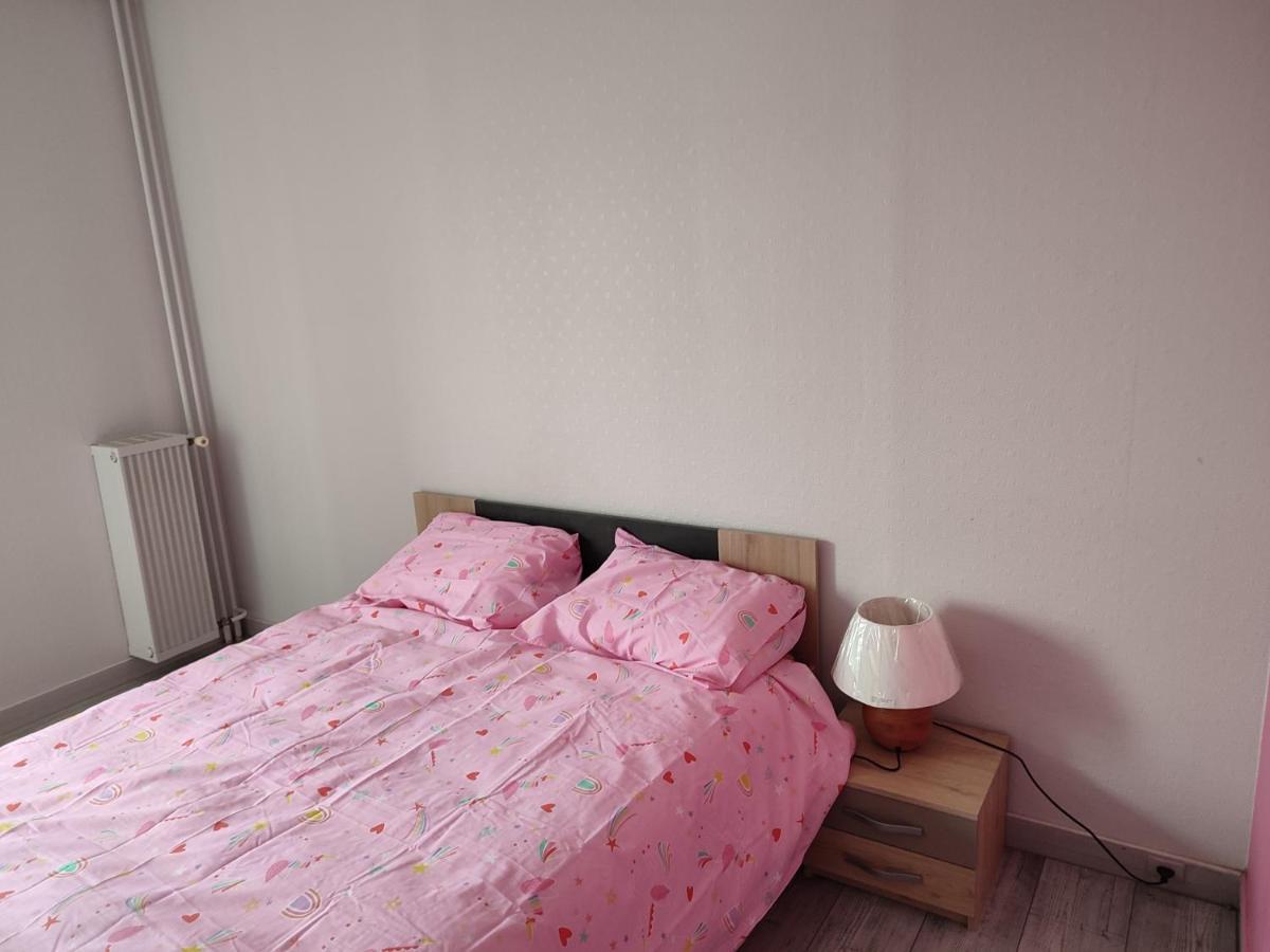 Grand Et Superbe Appartement Proche Paris Creil Exteriör bild